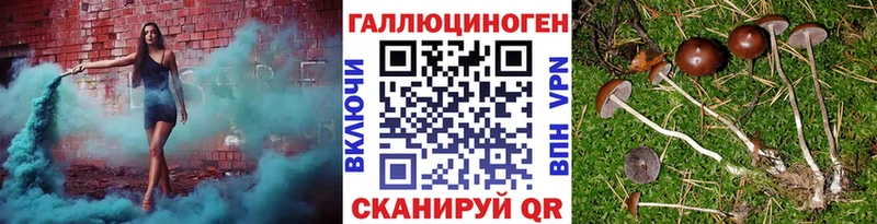 Галлюциногенные грибы GOLDEN TEACHER  omg ONION  Сергач 